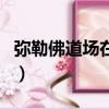 彌勒佛道場在什么地方（彌勒佛道場位置介紹）