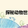 探秘動物世界（關(guān)于探秘動物世界簡介）