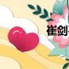 崔劍平（關(guān)于崔劍平簡介）