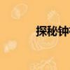 探秘鐘祥（關于探秘鐘祥簡介）