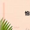 怕羞（關(guān)于怕羞介紹）