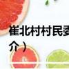 崔北村村民委員會（關于崔北村村民委員會簡介）