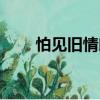 怕見舊情郎（關(guān)于怕見舊情郎介紹）