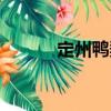 定州鴨梨（關(guān)于定州鴨梨介紹）