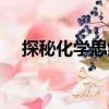 探秘化學思維（關(guān)于探秘化學思維簡介）