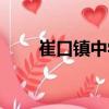 崔口鎮(zhèn)中學（關(guān)于崔口鎮(zhèn)中學簡介）