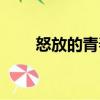 怒放的青春（關(guān)于怒放的青春介紹）
