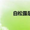 白松露是什么東西（白松露介紹）