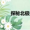 探秘北極熊（關(guān)于探秘北極熊簡介）