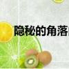 隱秘的角落內(nèi)容簡(jiǎn)介（隱秘的角落簡(jiǎn)介）
