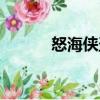 怒海俠盜（關(guān)于怒海俠盜介紹）