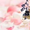 晟讀什么（晟怎么讀）