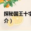 探秘國(guó)王十字車(chē)站（關(guān)于探秘國(guó)王十字車(chē)站簡(jiǎn)介）