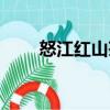 怒江紅山茶（關(guān)于怒江紅山茶介紹）