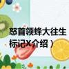 怒首領(lǐng)蜂大往生：黑色標(biāo)記X（關(guān)于怒首領(lǐng)蜂大往生：黑色標(biāo)記X介紹）