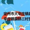 定州市大辛莊鎮(zhèn)泉邱三村黨支部志愿服務(wù)隊(duì)（關(guān)于定州市大辛莊鎮(zhèn)泉邱三村黨支部志愿服務(wù)隊(duì)介紹）