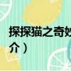 探探貓之奇妙世界（關(guān)于探探貓之奇妙世界簡(jiǎn)介）