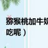 獼猴桃加牛奶可以吃嗎（獼猴桃加牛奶能不能吃呢）