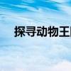 探尋動物王國（關(guān)于探尋動物王國簡介）