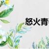 怒火青春（關(guān)于怒火青春介紹）