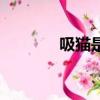吸貓是什么梗（吸貓的含義）