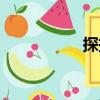 探撿（關(guān)于探撿簡(jiǎn)介）