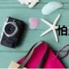 怕人（關(guān)于怕人介紹）
