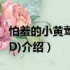 怕羞的小黃鶯(DVD)（關(guān)于怕羞的小黃鶯(DVD)介紹）