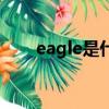 eagle是什么意思（eagle單詞介紹）