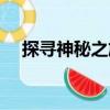 探尋神秘之旅（關(guān)于探尋神秘之旅簡(jiǎn)介）