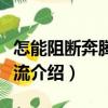 怎能阻斷奔騰的河流（關(guān)于怎能阻斷奔騰的河流介紹）