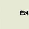 崔鳳高（關(guān)于崔鳳高簡介）