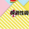 探測性調研（關于探測性調研簡介）