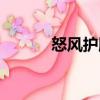怒風(fēng)護(hù)腕（關(guān)于怒風(fēng)護(hù)腕介紹）