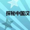 探秘中國漢字（關(guān)于探秘中國漢字簡介）