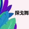 探戈舞蹈（關(guān)于探戈舞蹈簡(jiǎn)介）