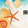探揣（關于探揣簡介）