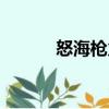 怒海槍火（關(guān)于怒海槍火介紹）