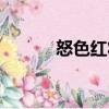 怒色紅妝（關(guān)于怒色紅妝介紹）