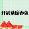 開到荼縻春色盡（關(guān)于開到荼縻春色盡介紹）