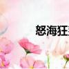 怒?？聃彛P(guān)于怒海狂鯊介紹）