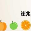 崔兆源（關(guān)于崔兆源簡介）