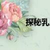 探秘乳房（關(guān)于探秘乳房簡介）