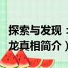 探索與發(fā)現(xiàn)：恐龍真相（關(guān)于探索與發(fā)現(xiàn)：恐龍真相簡介）