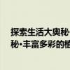 探索生活大奧秘·豐富多彩的植物家族（關(guān)于探索生活大奧秘·豐富多彩的植物家族簡介）