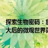 探索生物密碼：放大后的微觀世界（關(guān)于探索生物密碼：放大后的微觀世界簡(jiǎn)介）