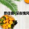 思佳客·深夜槐風(fēng)析酲惺（關(guān)于思佳客·深夜槐風(fēng)析酲惺介紹）