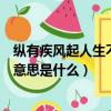 縱有疾風(fēng)起人生不言棄是什么意思（縱有疾風(fēng)起人生不言棄意思是什么）