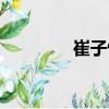 崔子恒（關(guān)于崔子恒簡(jiǎn)介）