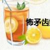 怖矛齒鲇（關(guān)于怖矛齒鲇介紹）
